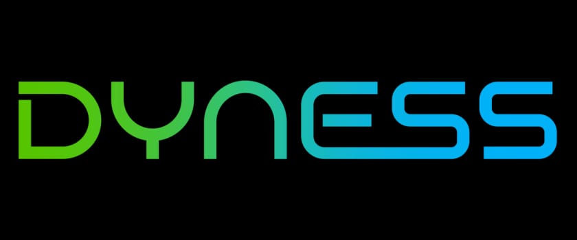DYNESS